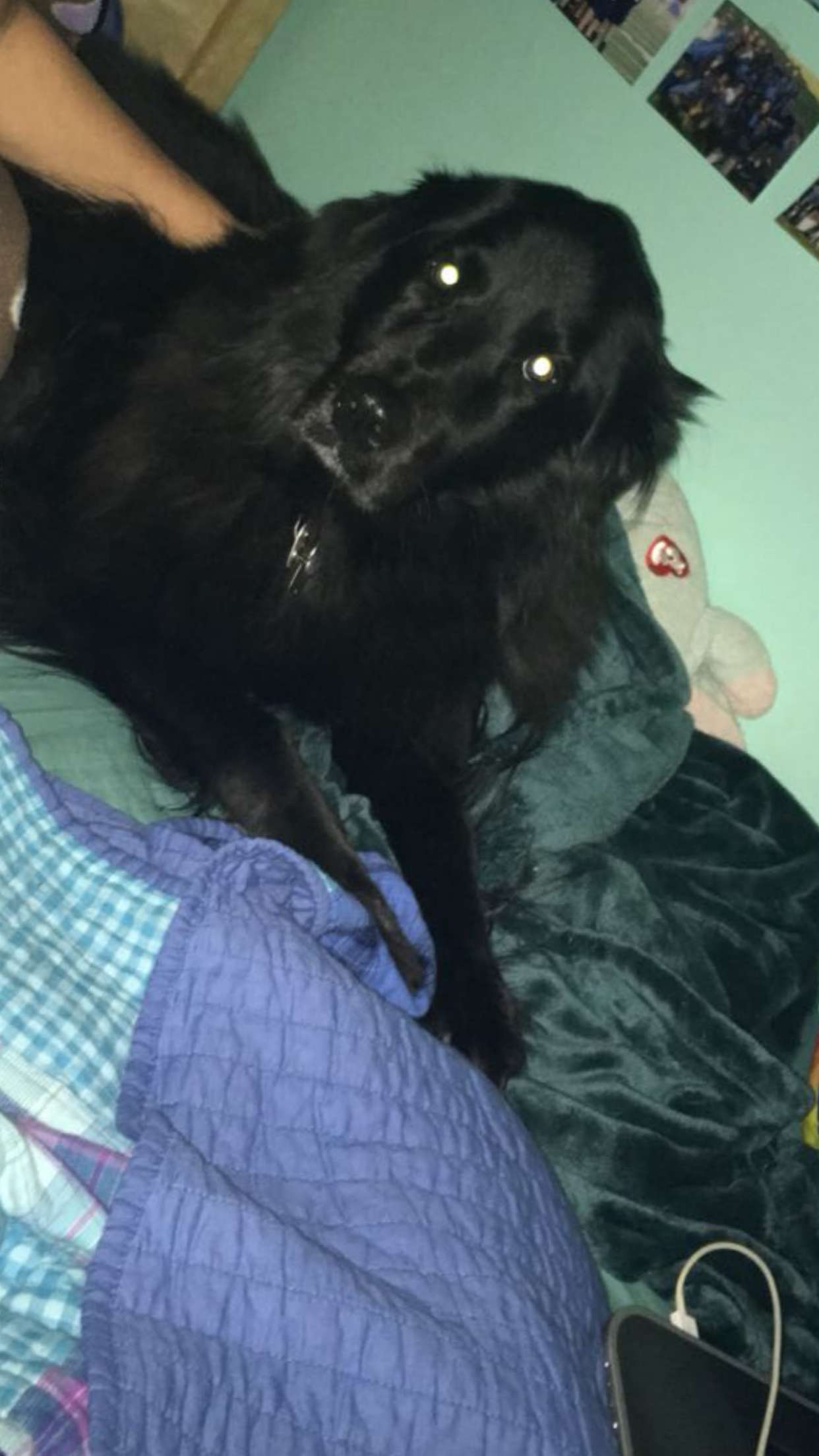 kaitlyn_krems snapchat image archive image