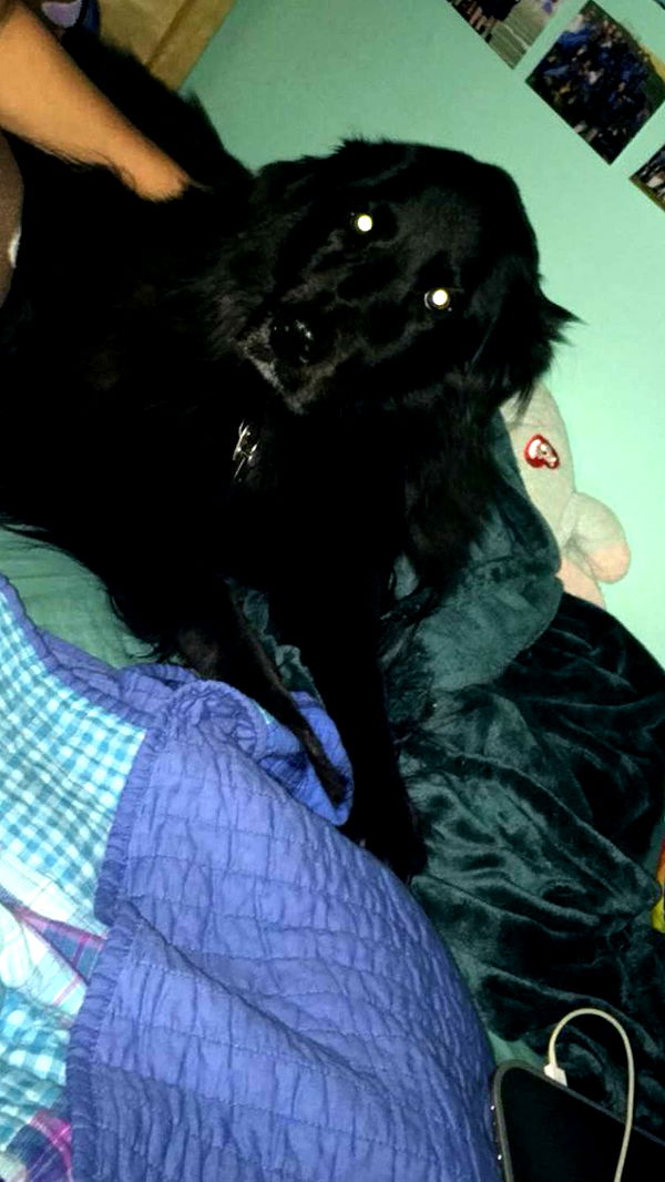 kaitlyn_krems image ~ Altpins