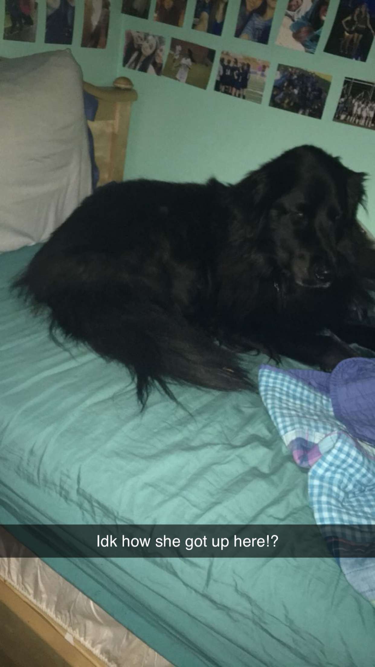 kaitlyn_krems snapchat image archive image