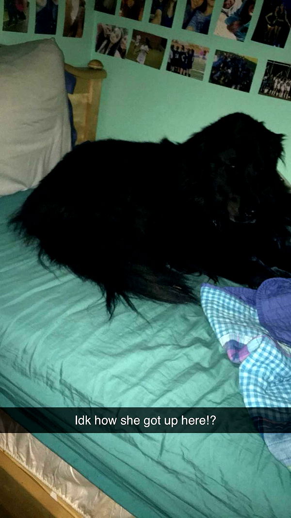 kaitlyn_krems image ~ Altpins