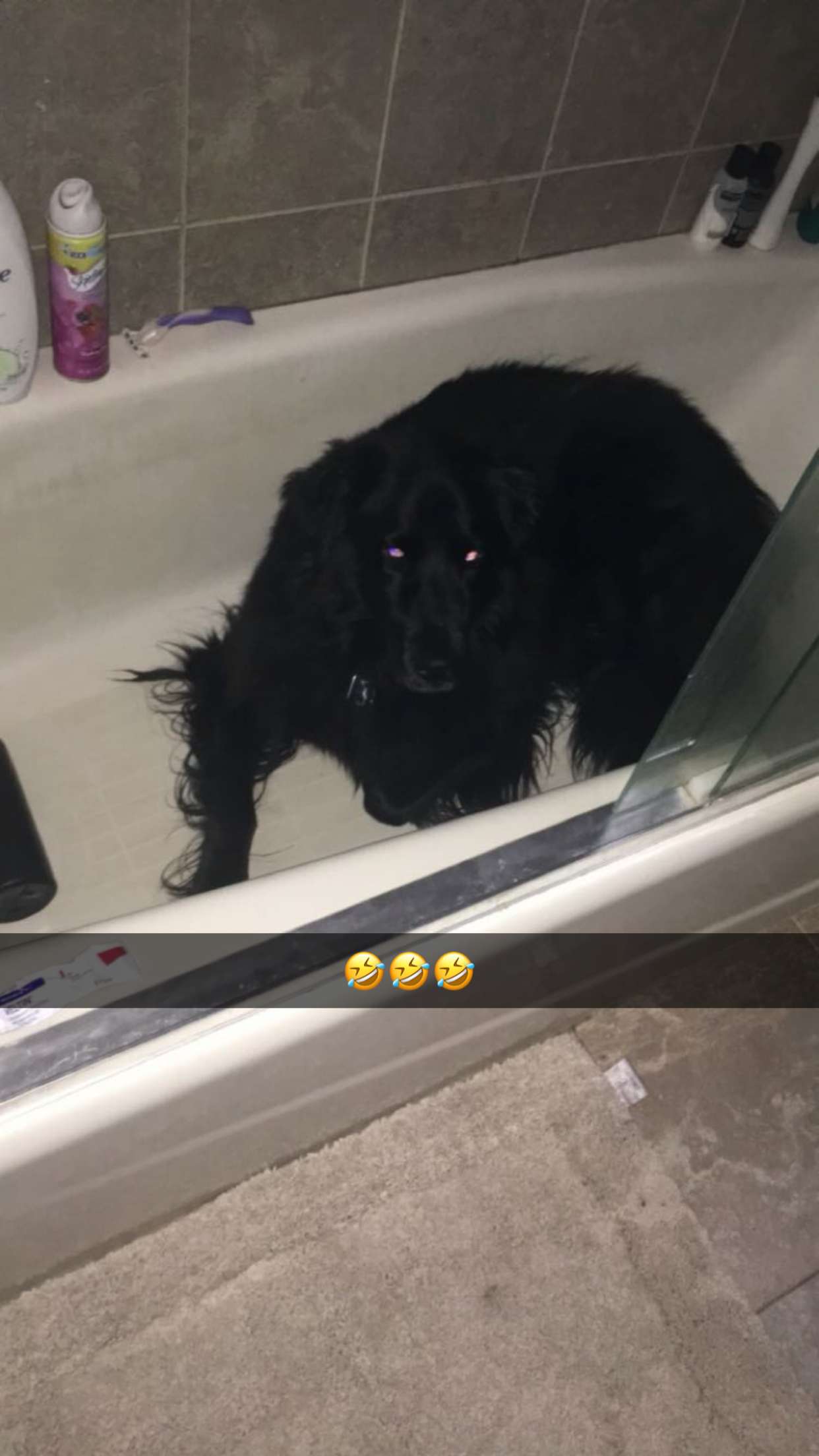 kaitlyn_krems snapchat image archive image