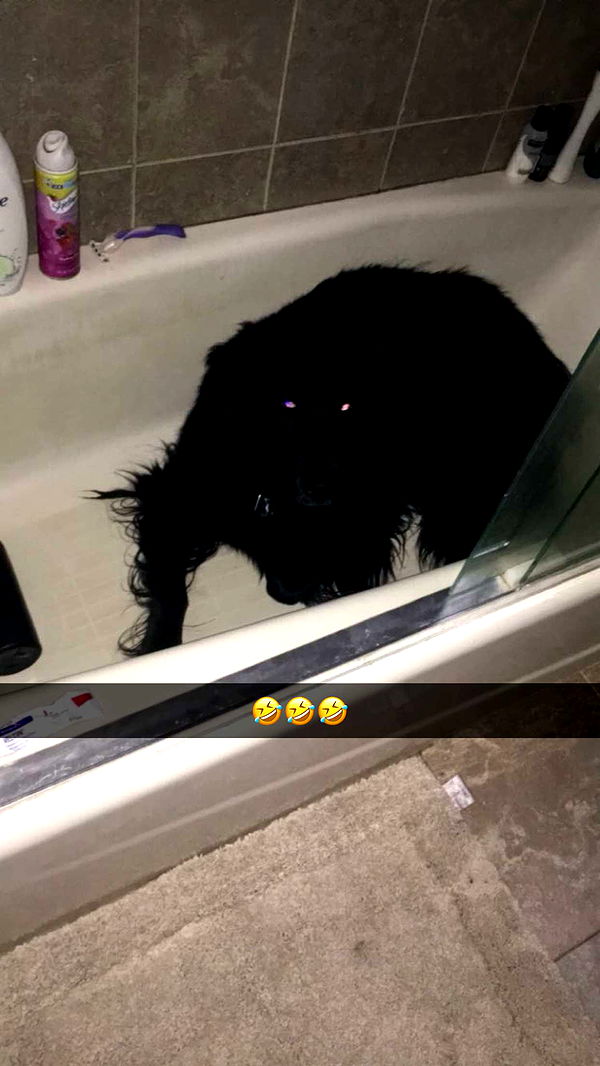 kaitlyn_krems image ~ Altpins