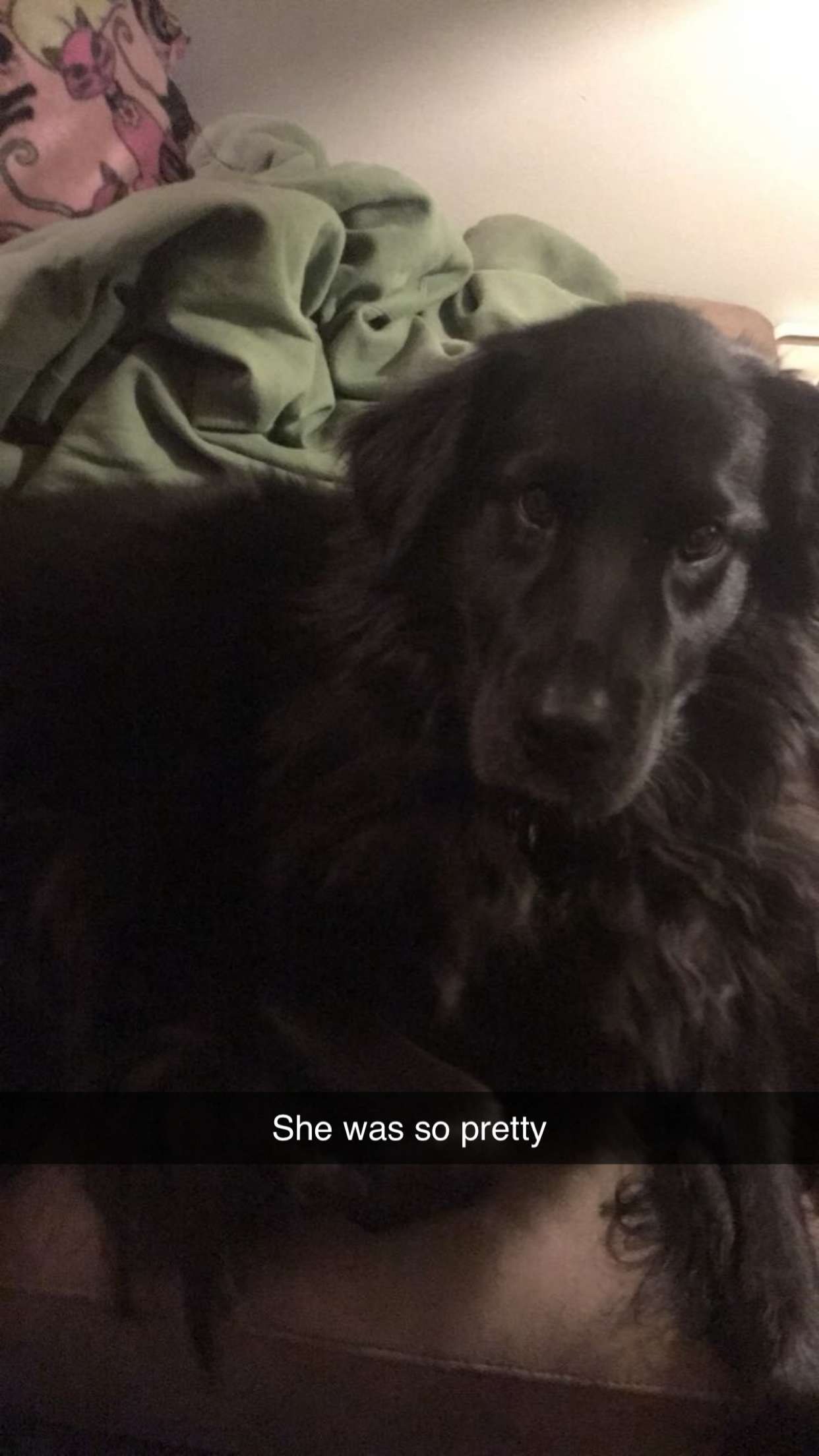 kaitlyn_krems snapchat image archive image