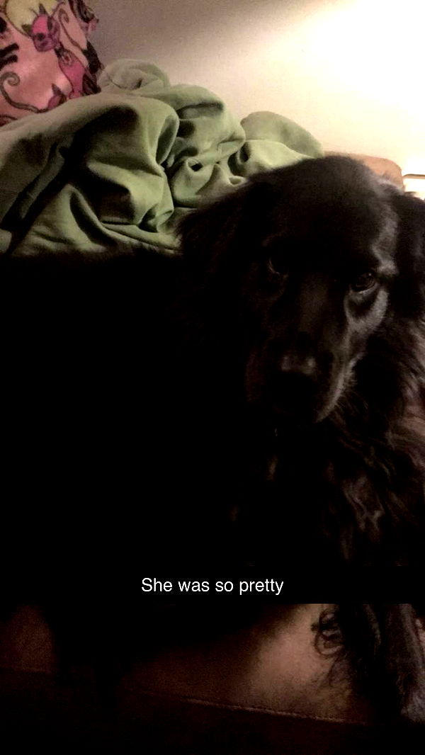 kaitlyn_krems image ~ Altpins