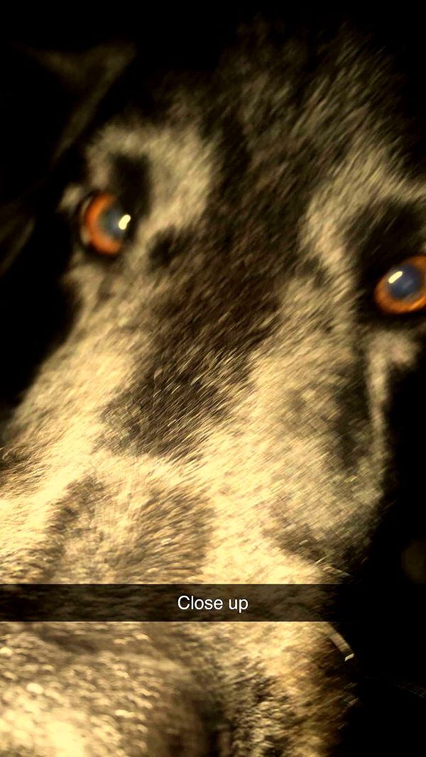 kaitlyn_krems image ~ Altpins