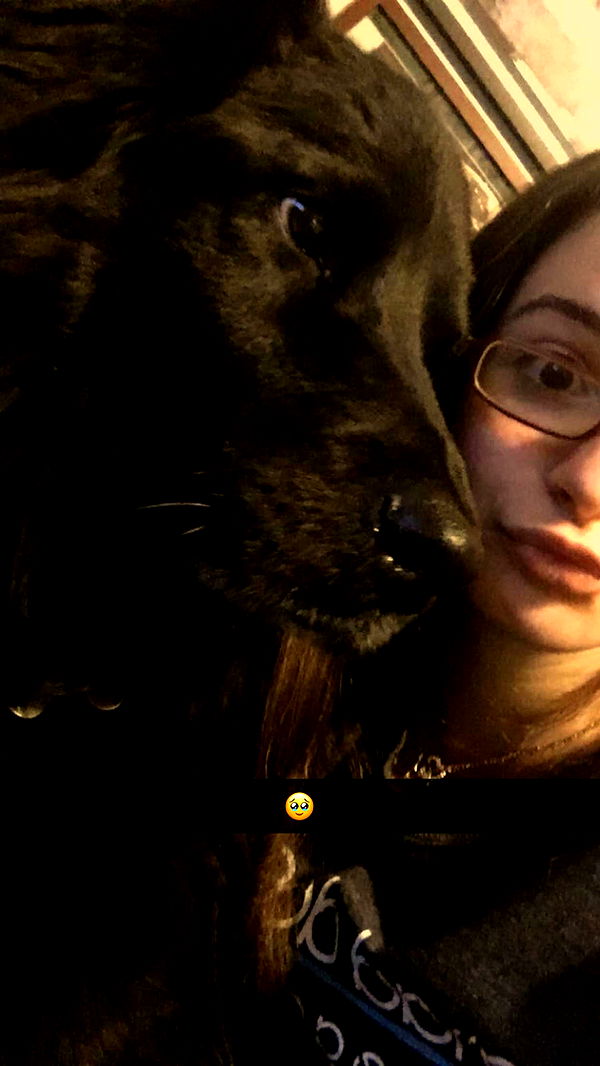 kaitlyn_krems image ~ Altpins