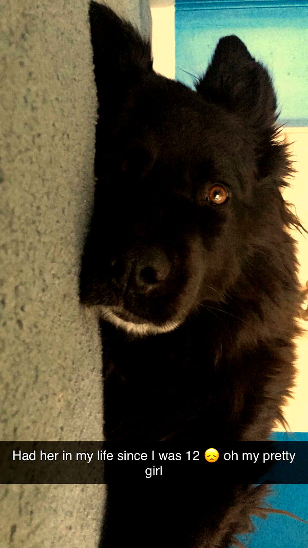 kaitlyn_krems image ~ Altpins