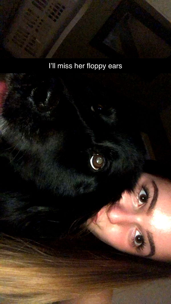 kaitlyn_krems image ~ Altpins