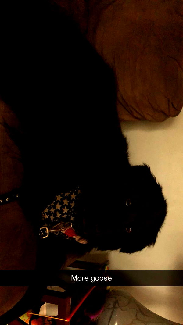 kaitlyn_krems image ~ Altpins