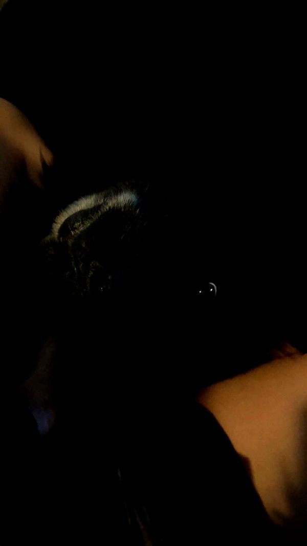 kaitlyn_krems image ~ Altpins