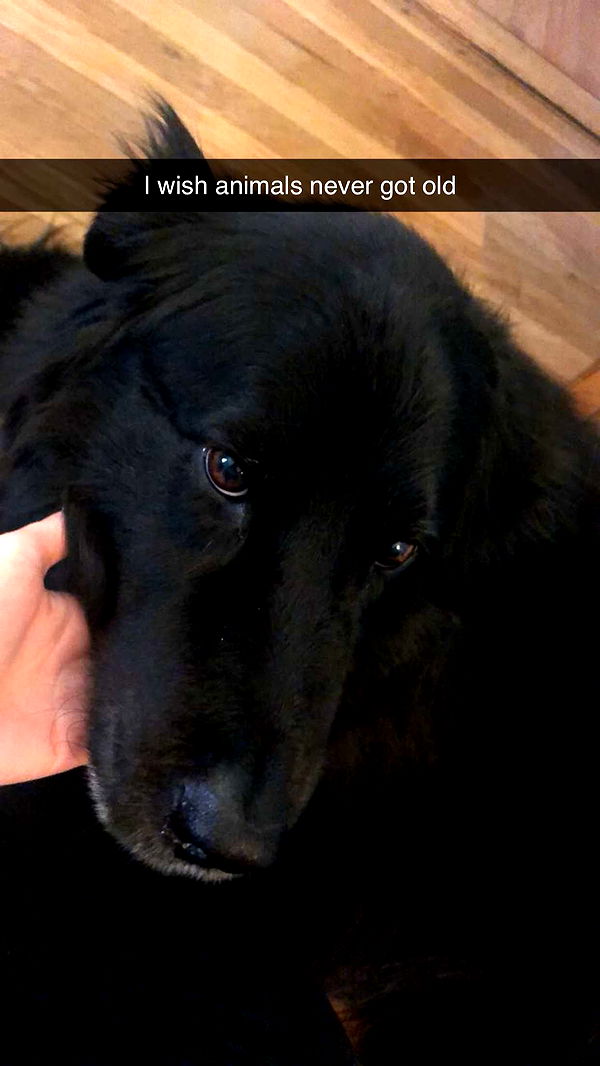 kaitlyn_krems image ~ Altpins