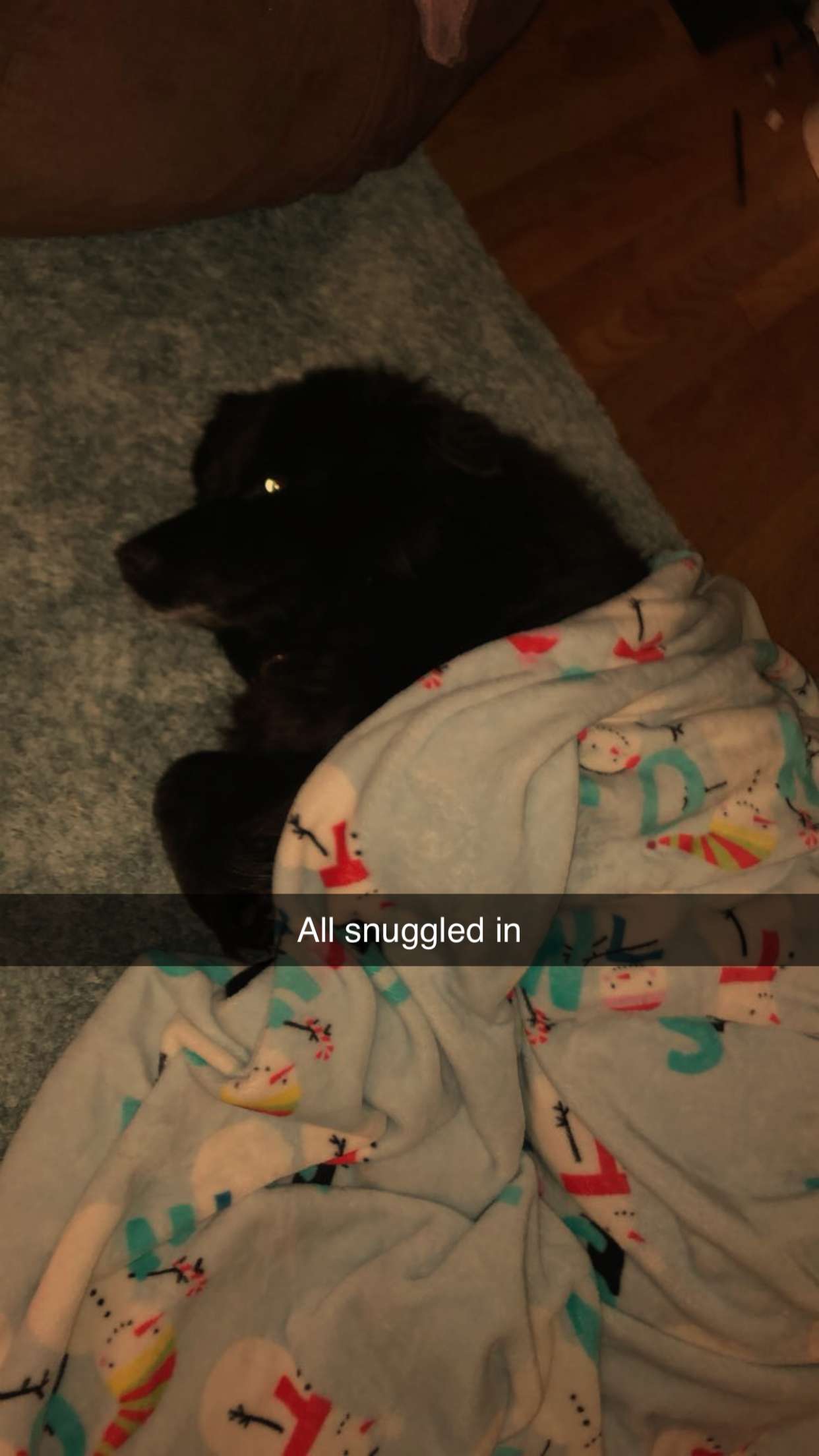 kaitlyn_krems snapchat image archive image