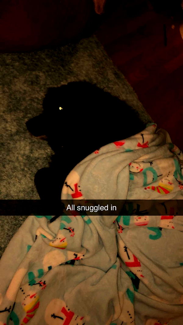 kaitlyn_krems image ~ Altpins