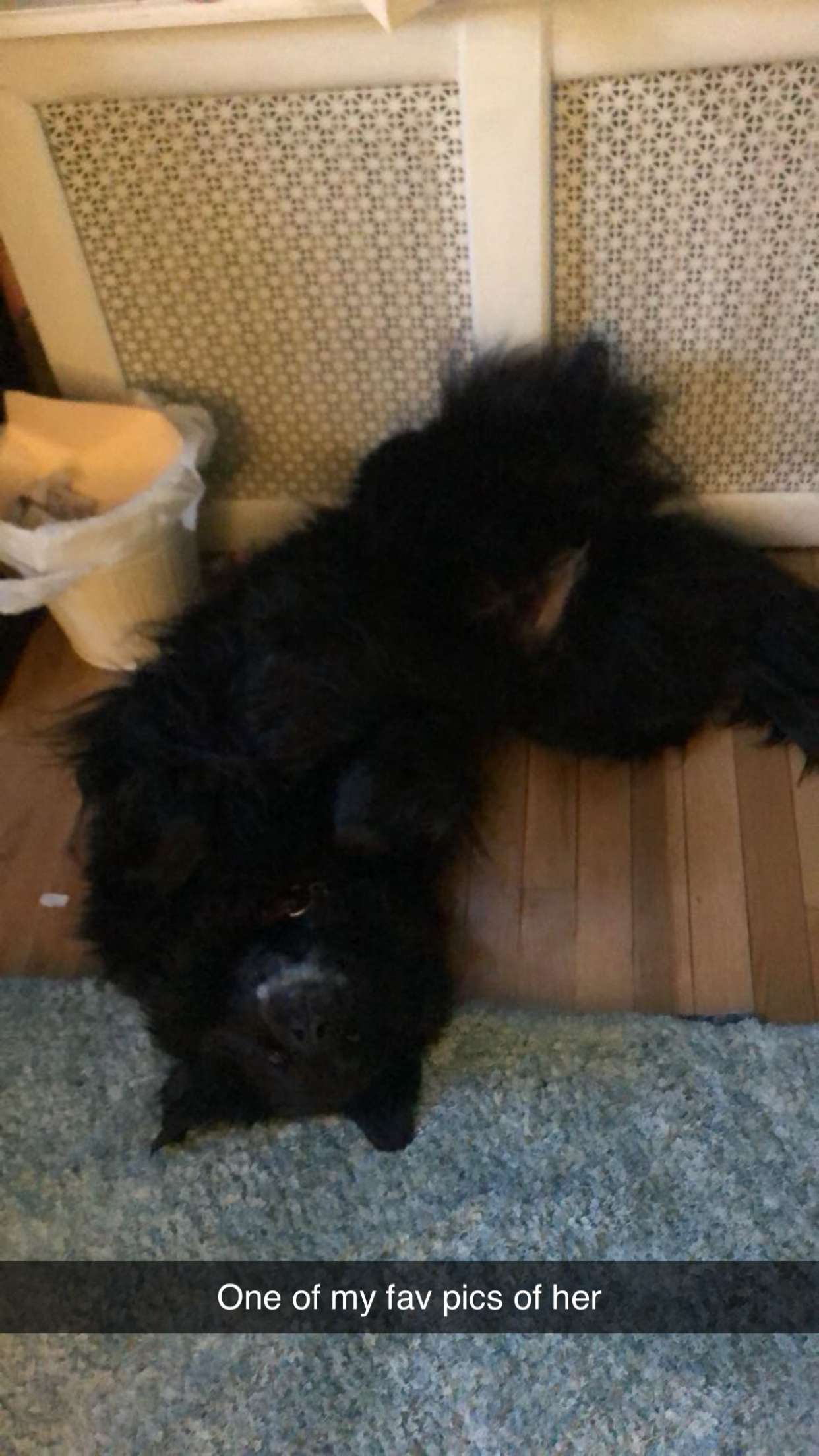 kaitlyn_krems snapchat image archive image