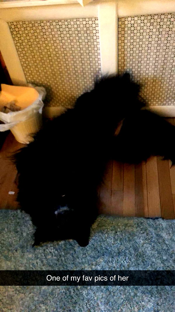 kaitlyn_krems image ~ Altpins