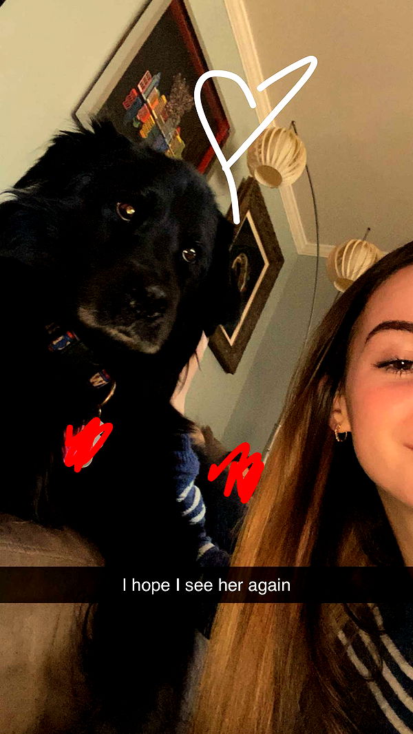 kaitlyn_krems image ~ Altpins