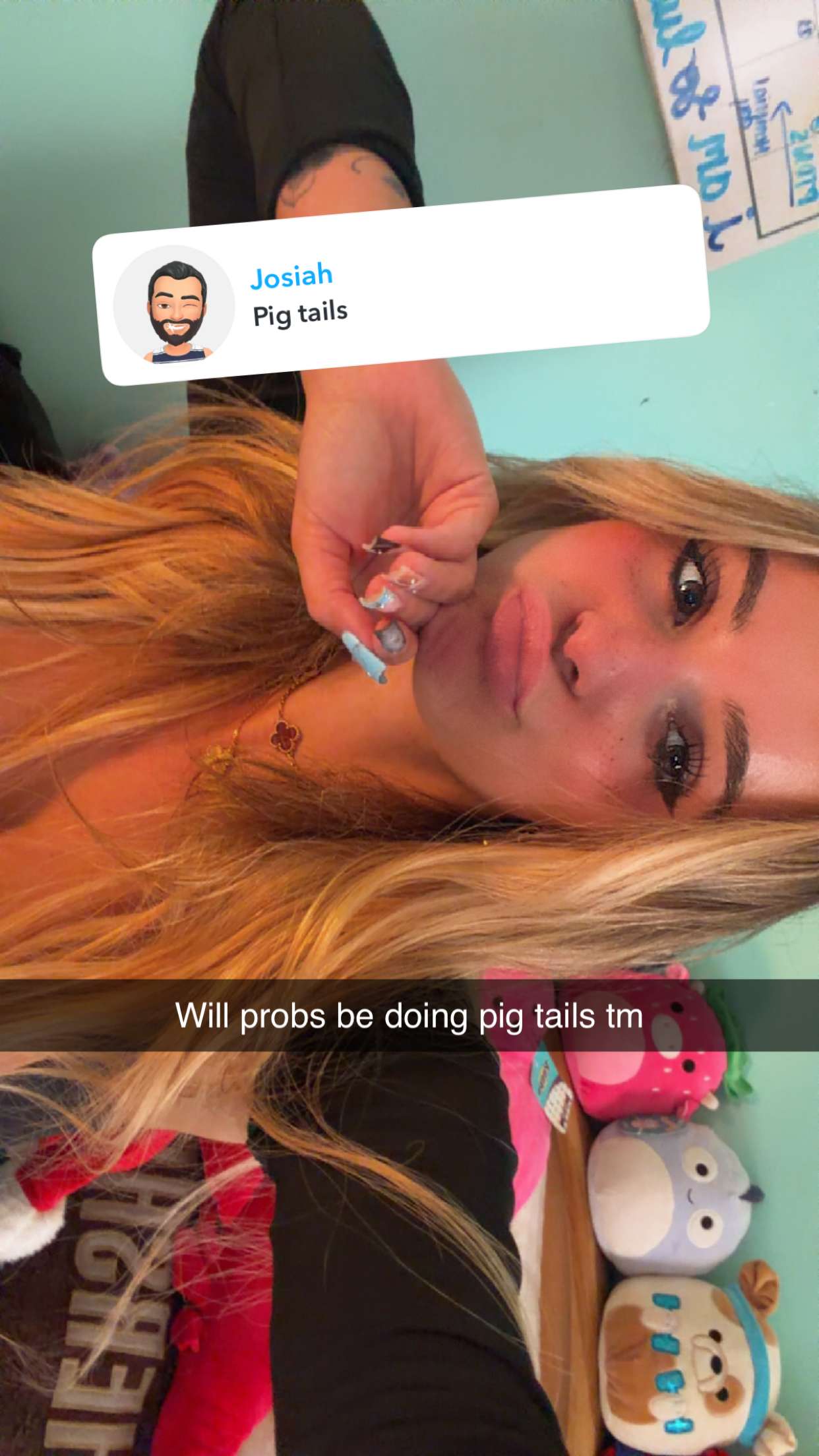 kaitlyn_krems snapchat image archive image