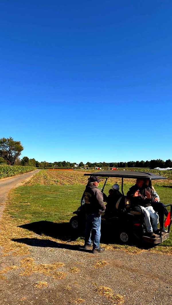 kaitlyn_krems image ~ Altpins