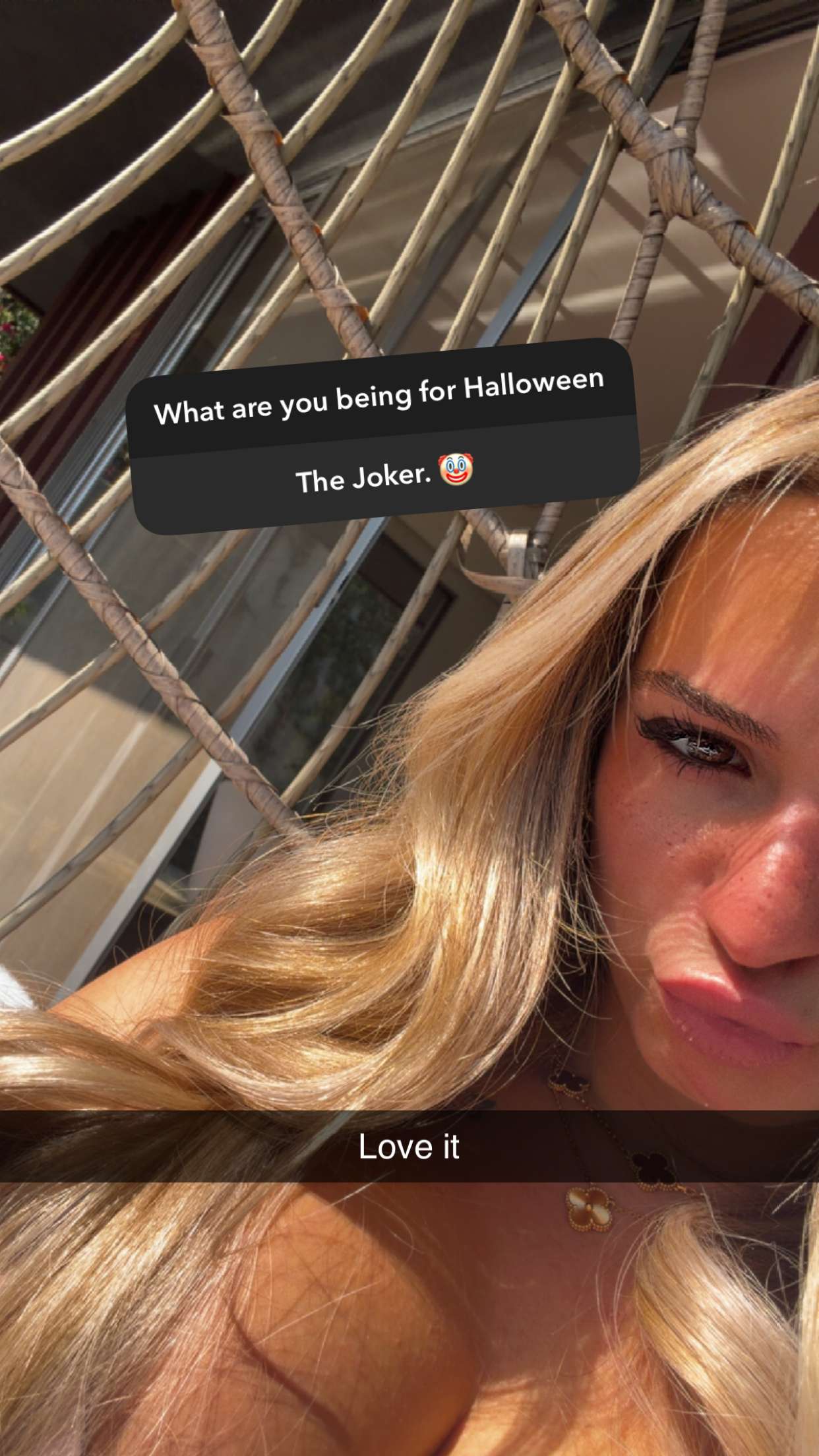 kaitlyn_krems snapchat image archive image