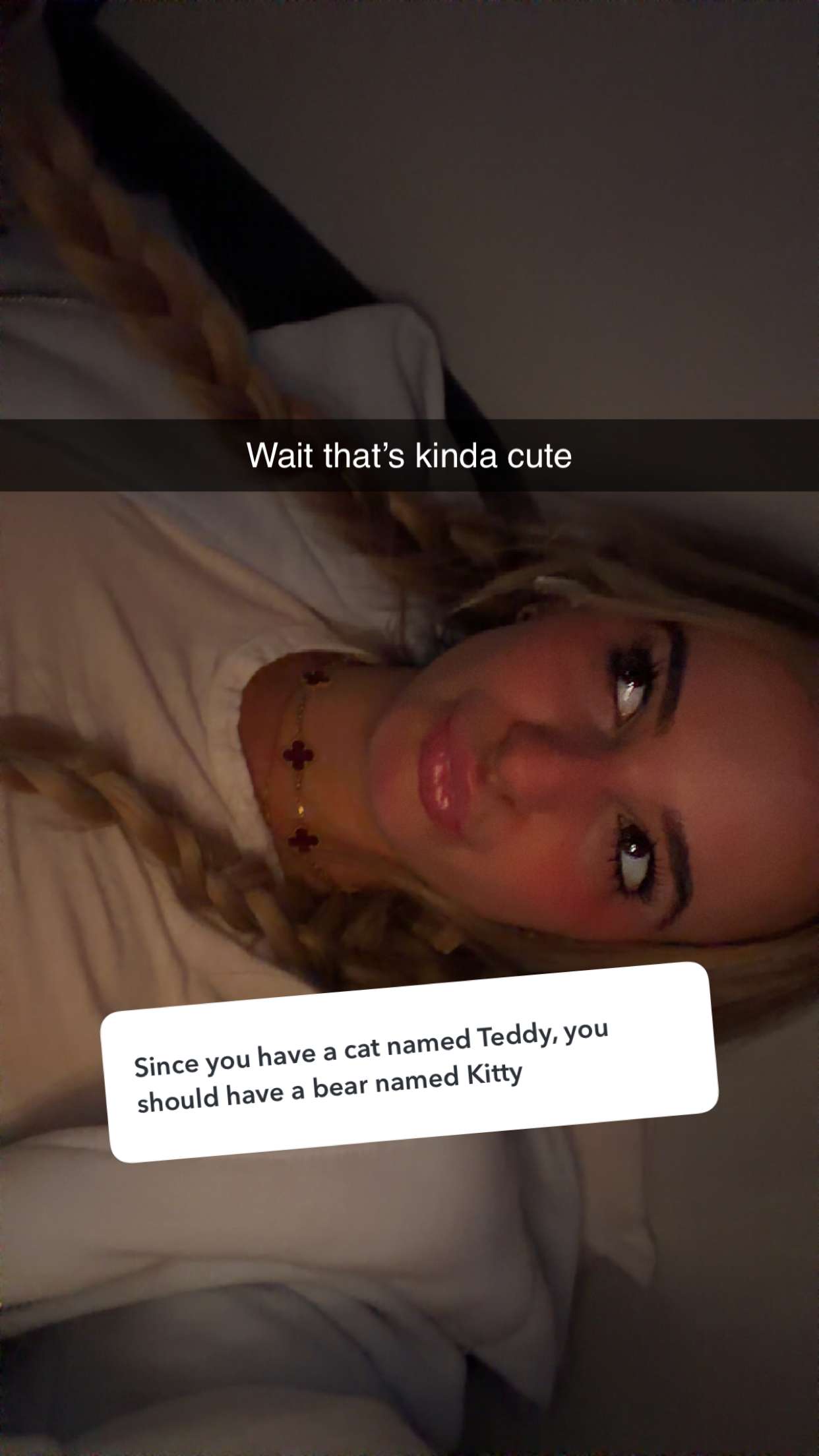 kaitlyn_krems snapchat image archive image