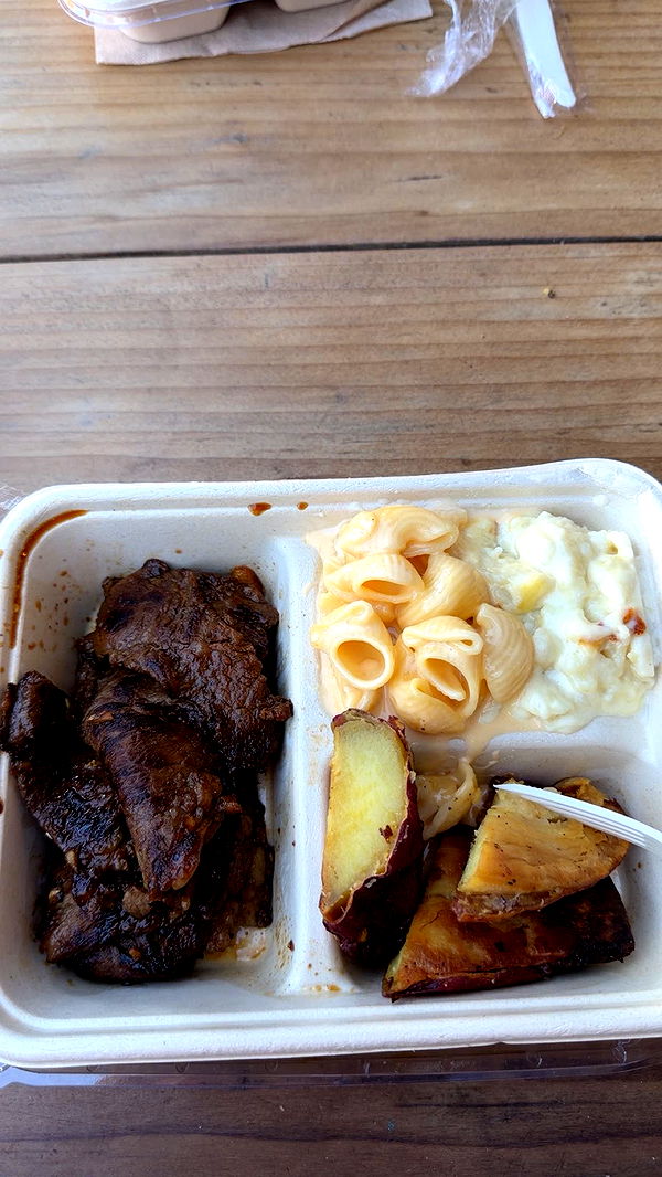 kaitlyn_krems image ~ Altpins