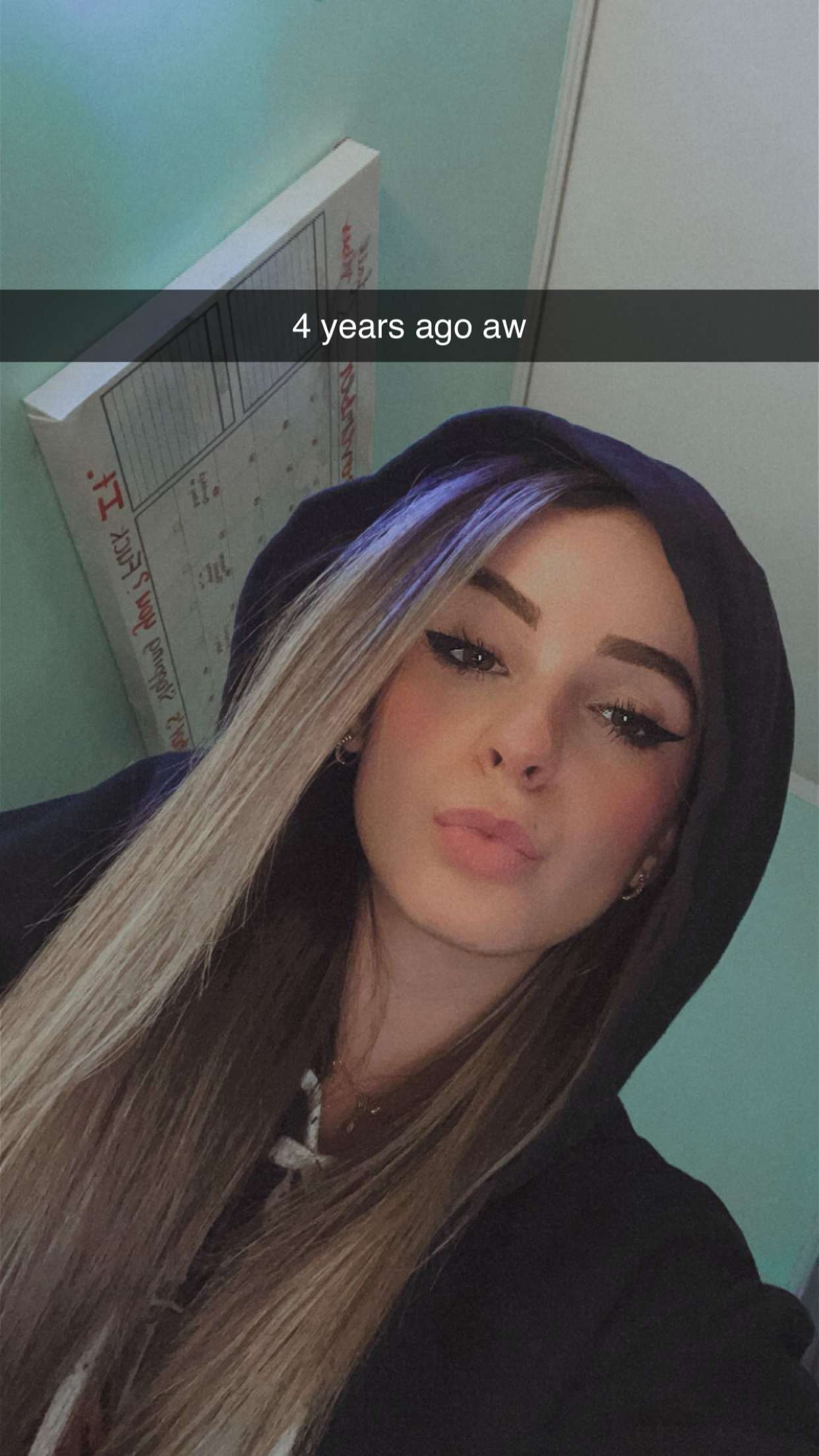 kaitlyn_krems snapchat image archive image