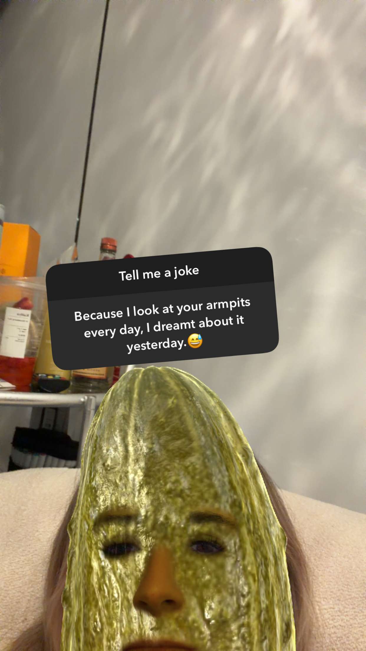 kaitlyn_krems snapchat image archive image