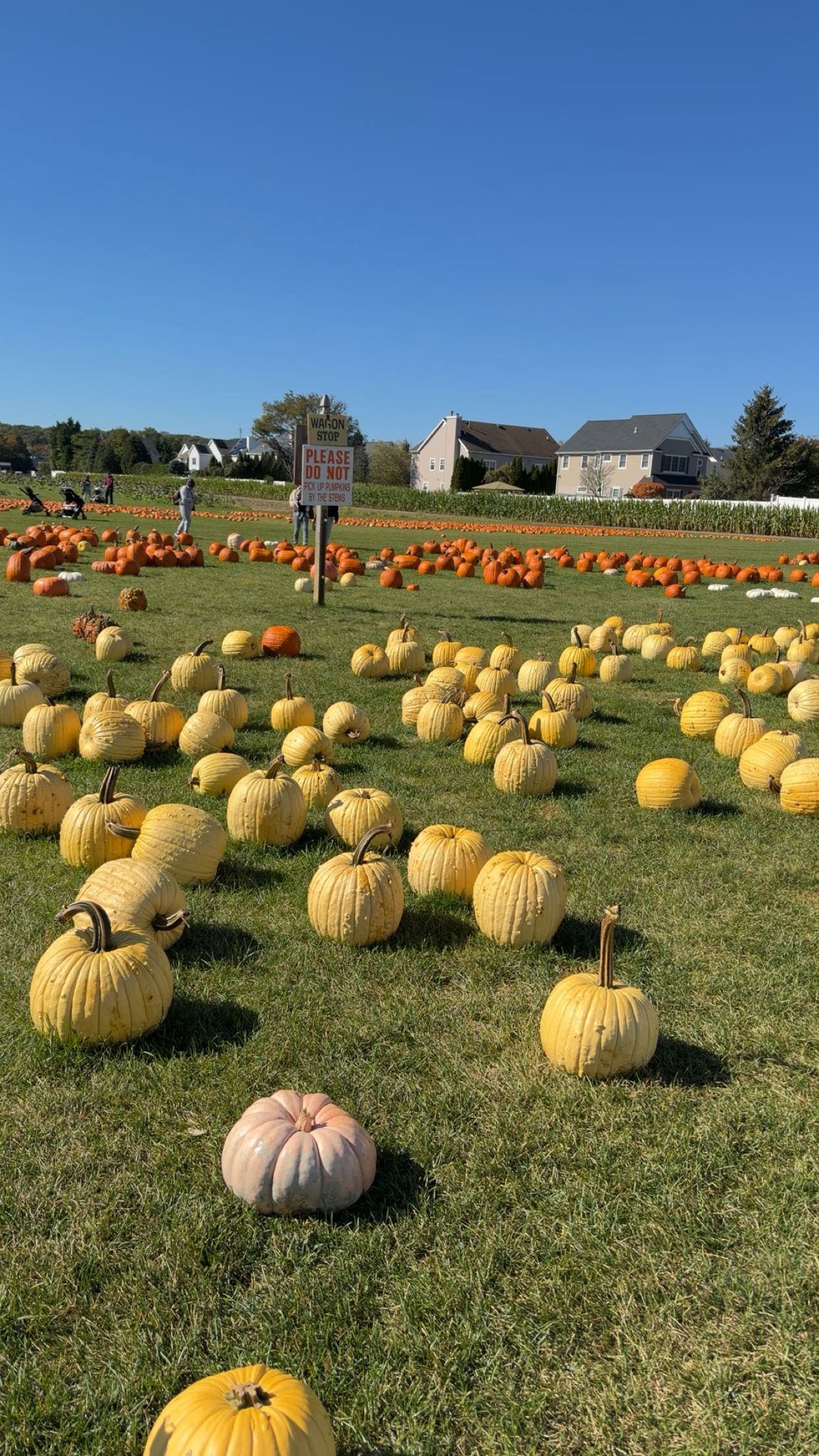 kaitlyn_krems snapchat image archive image