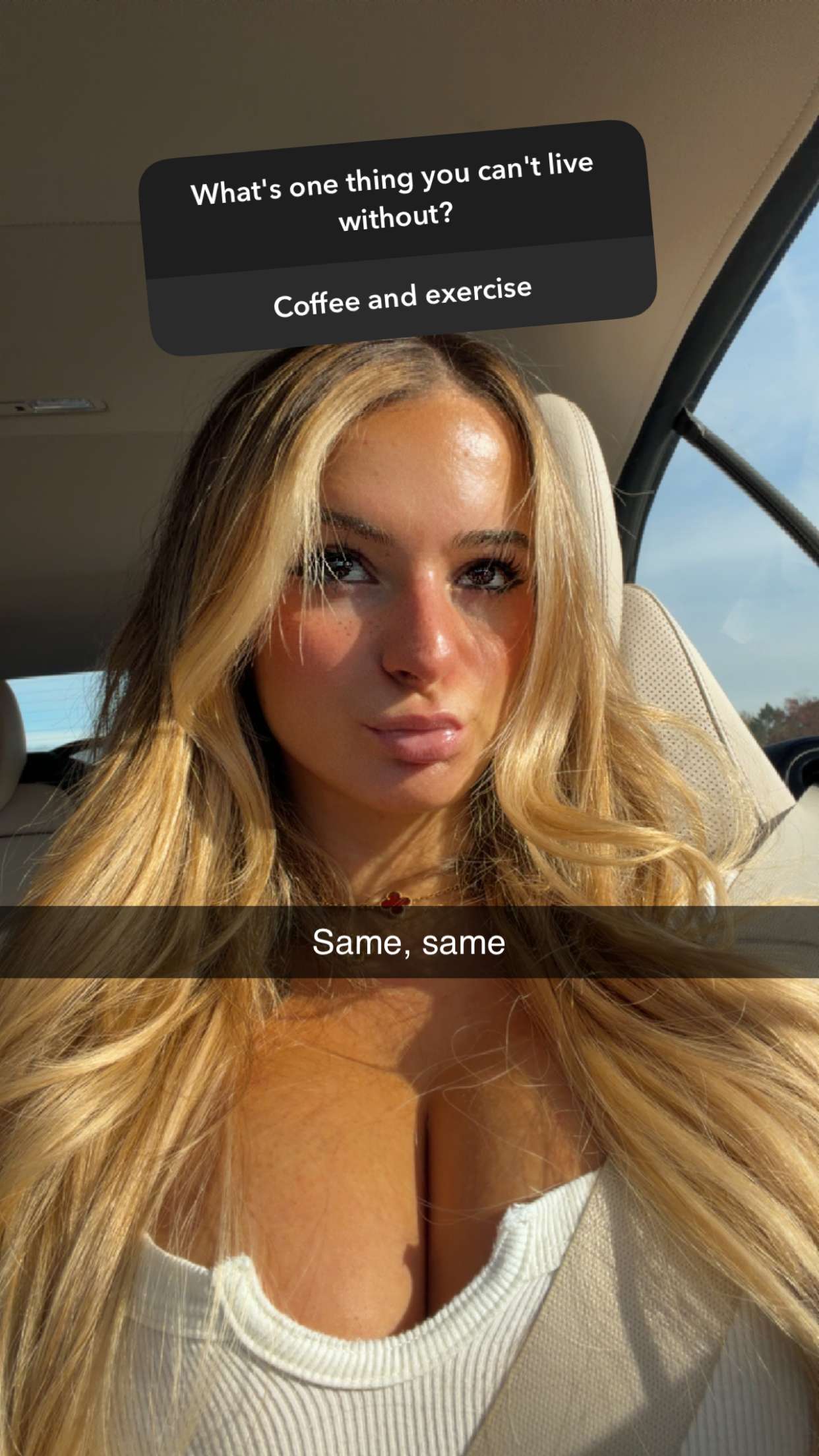 kaitlyn_krems snapchat image archive image