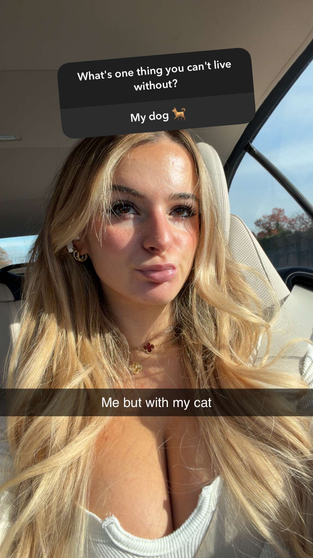 kaitlyn_krems snapchat image archive image