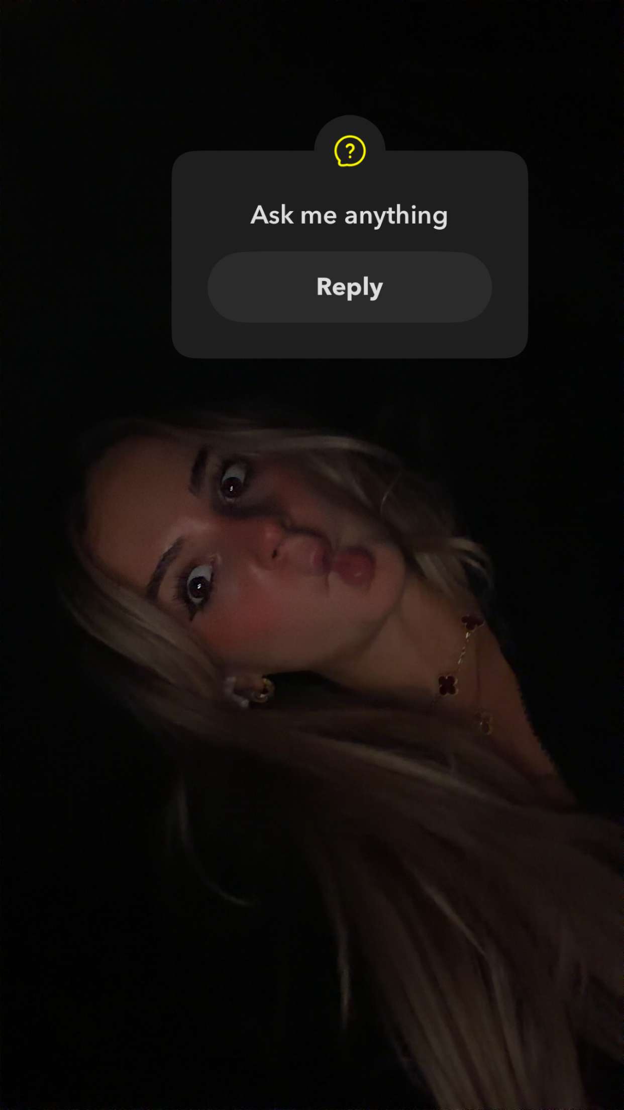 kaitlyn_krems snapchat image archive image