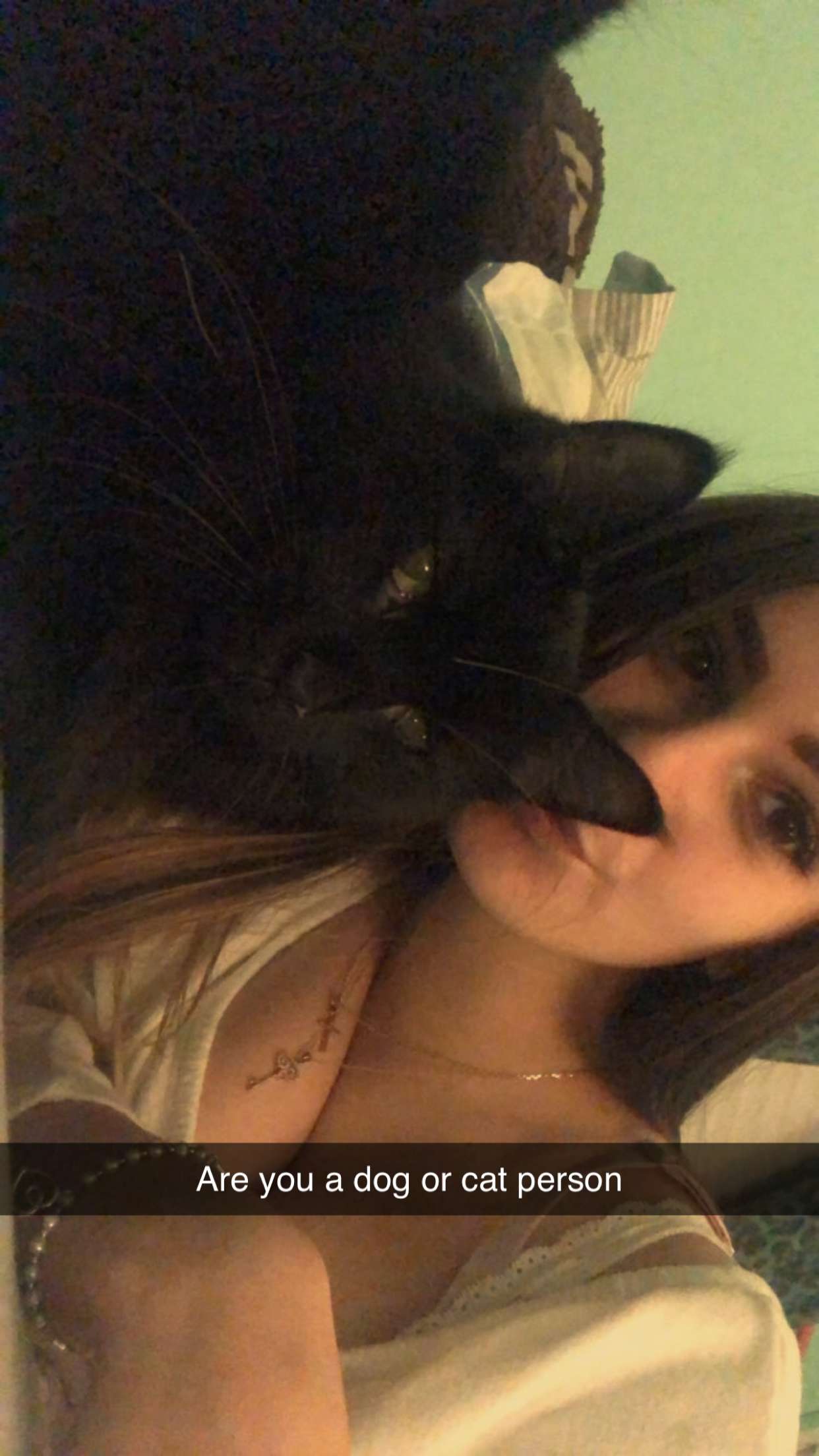 kaitlyn_krems snapchat image archive image