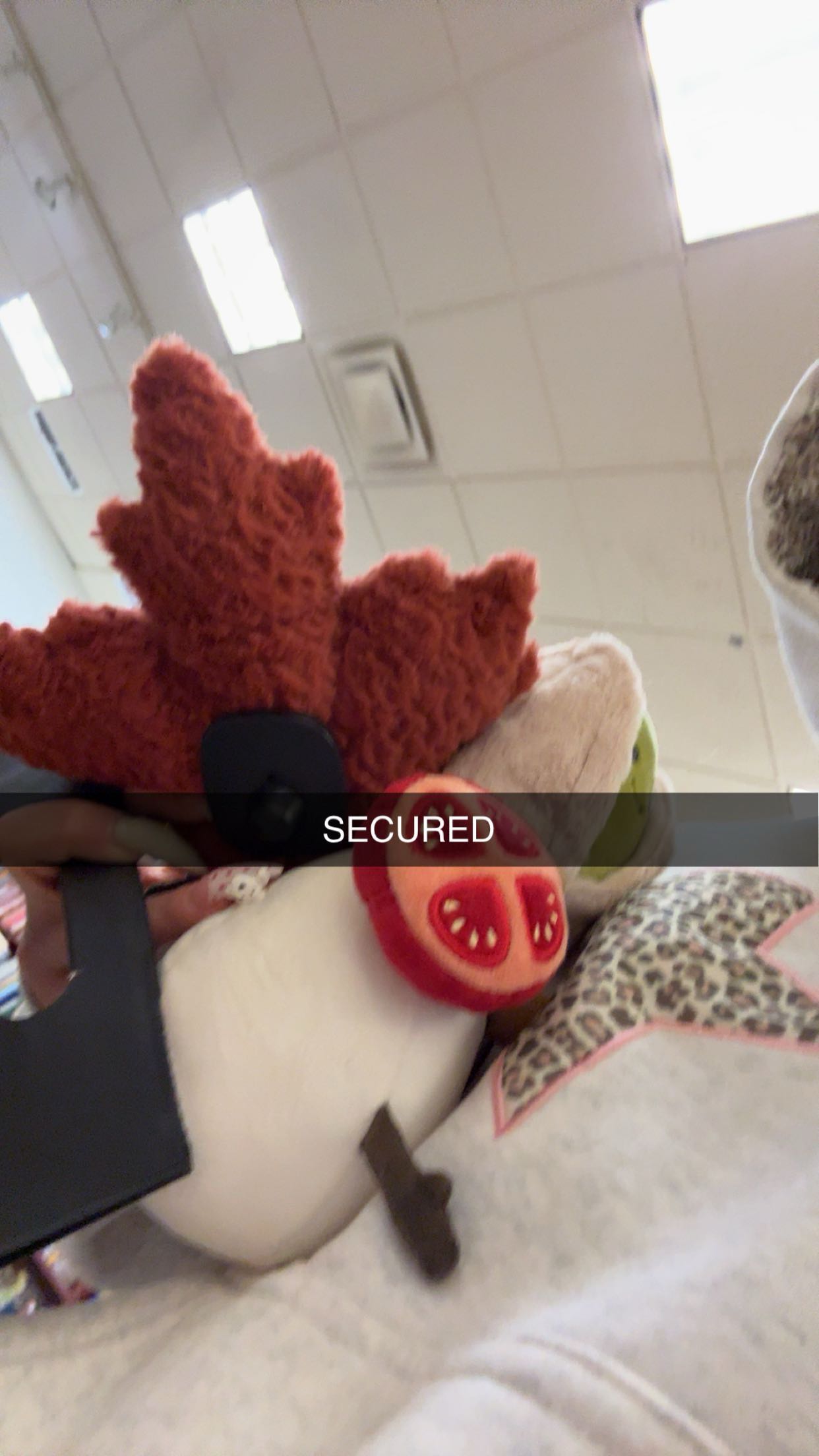 kalogeraseliana snapchat image archive image