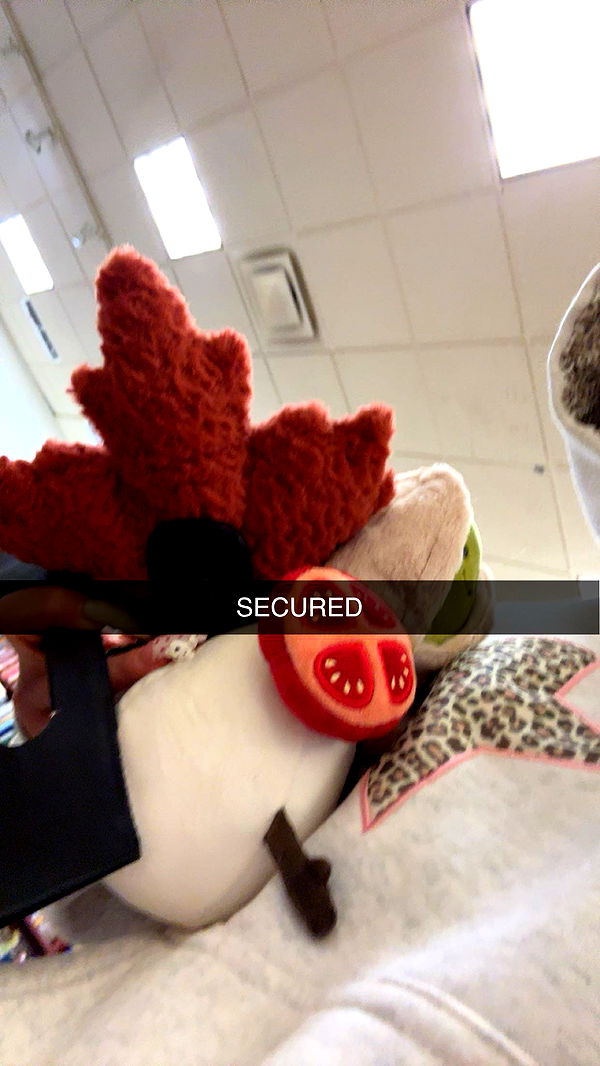 kalogeraseliana image ~ Altpins