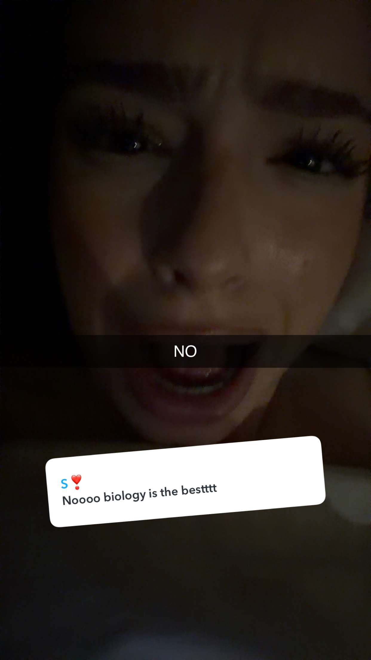 kalogeraseliana snapchat image archive image