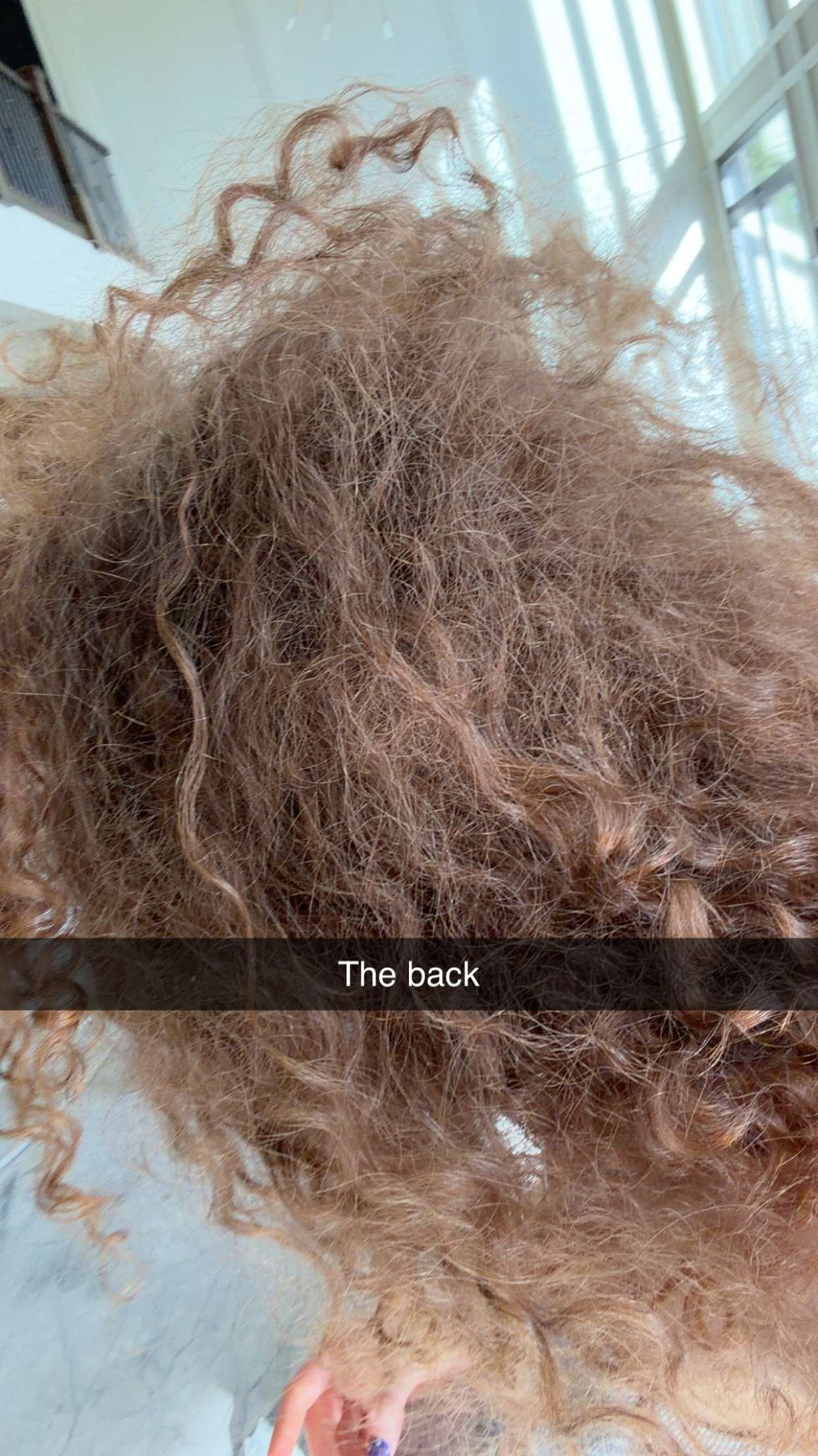 kalogeraseliana snapchat image archive image