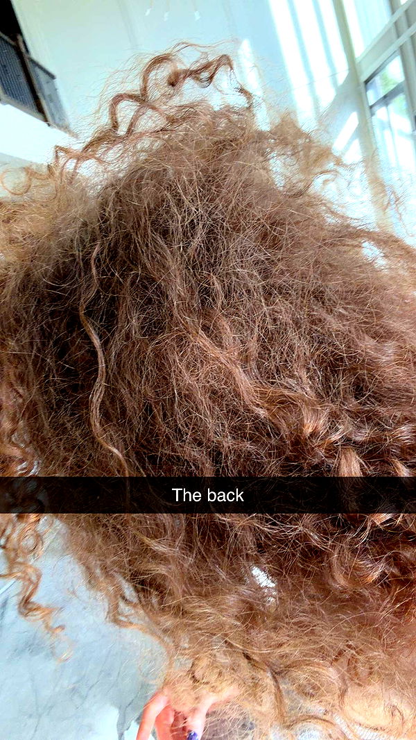 kalogeraseliana image ~ Altpins