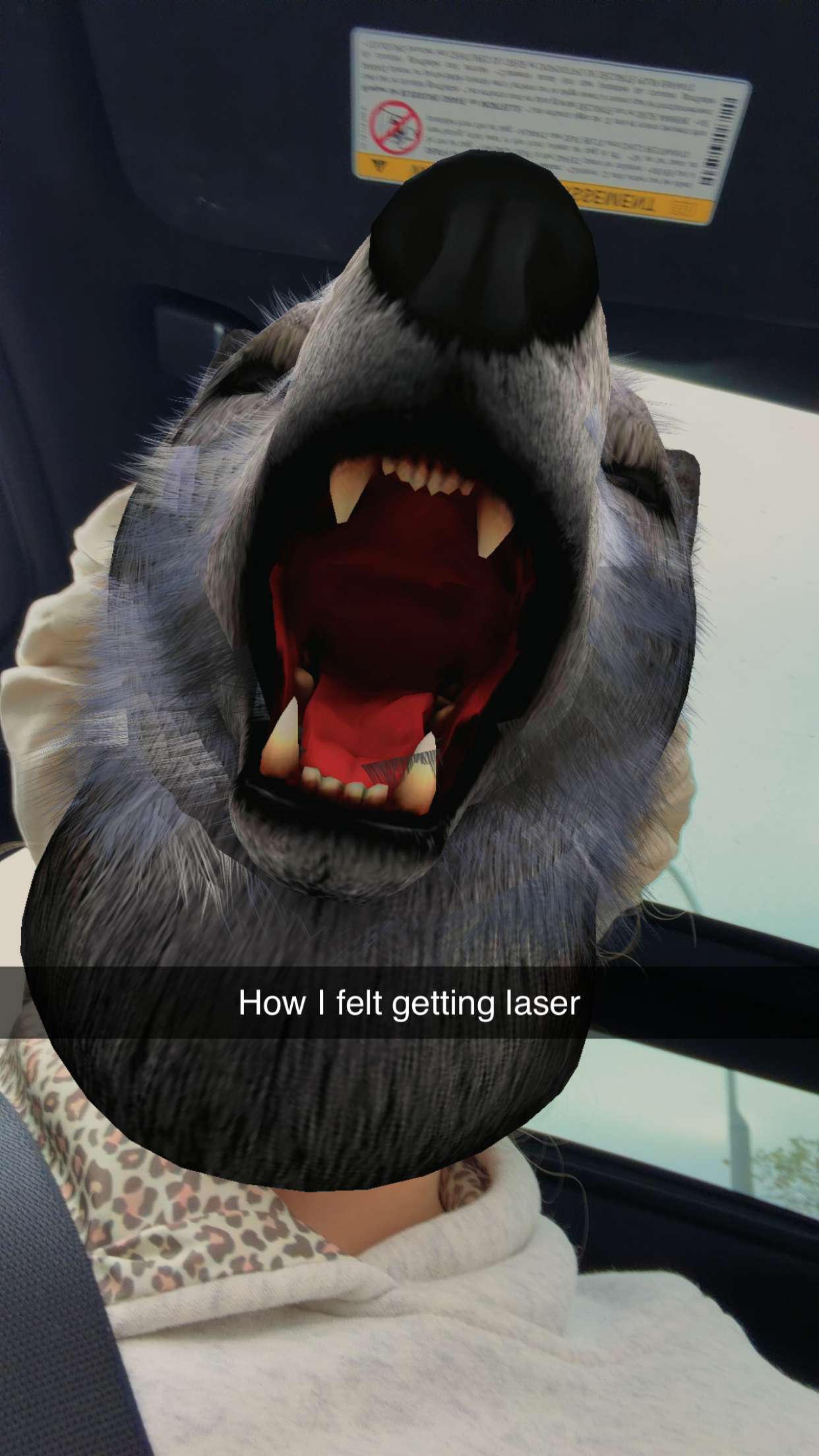 kalogeraseliana snapchat image archive image