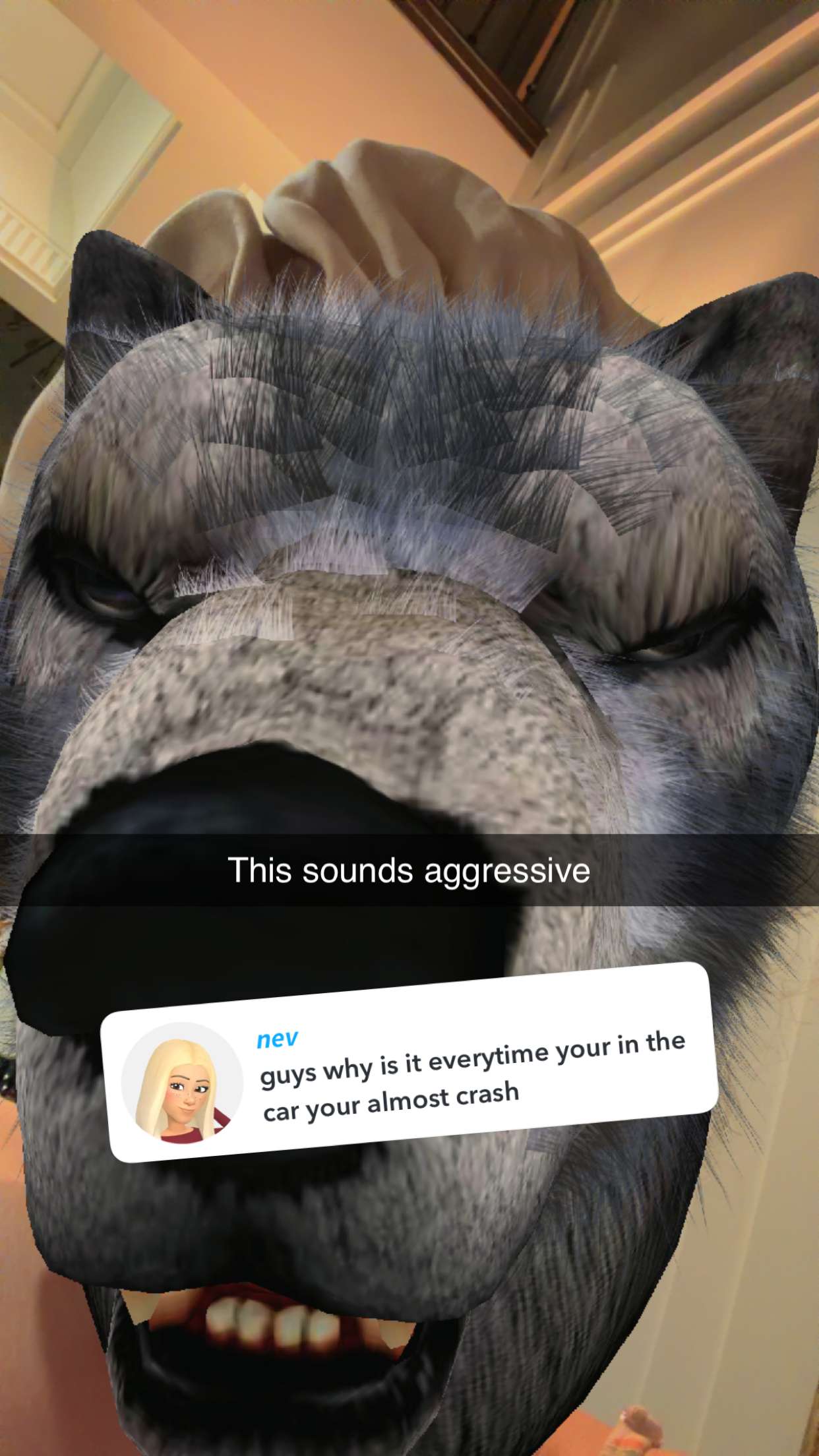 kalogeraseliana snapchat image archive image