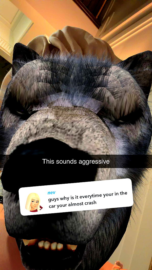 kalogeraseliana image ~ Altpins