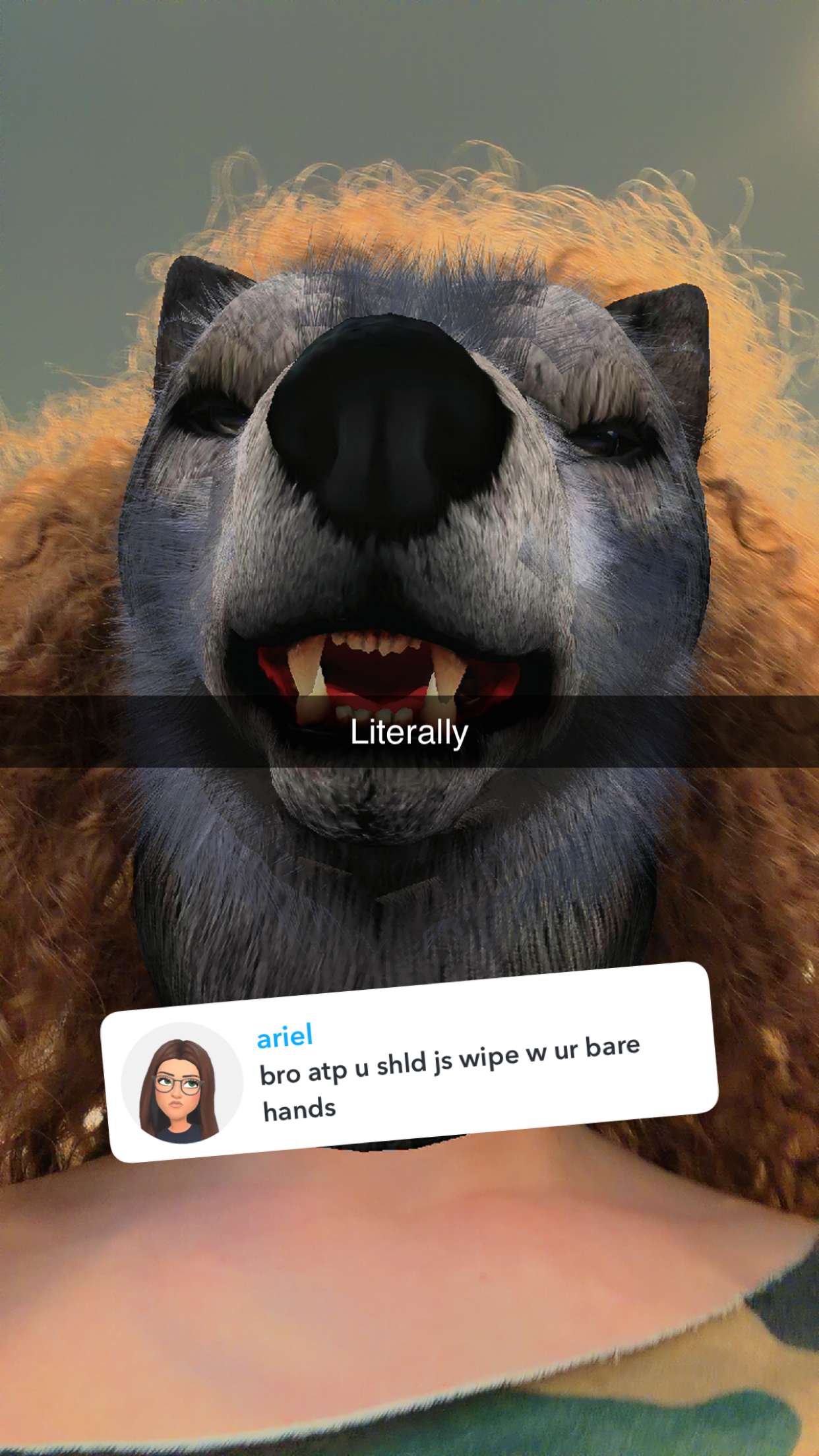 kalogeraseliana snapchat image archive image