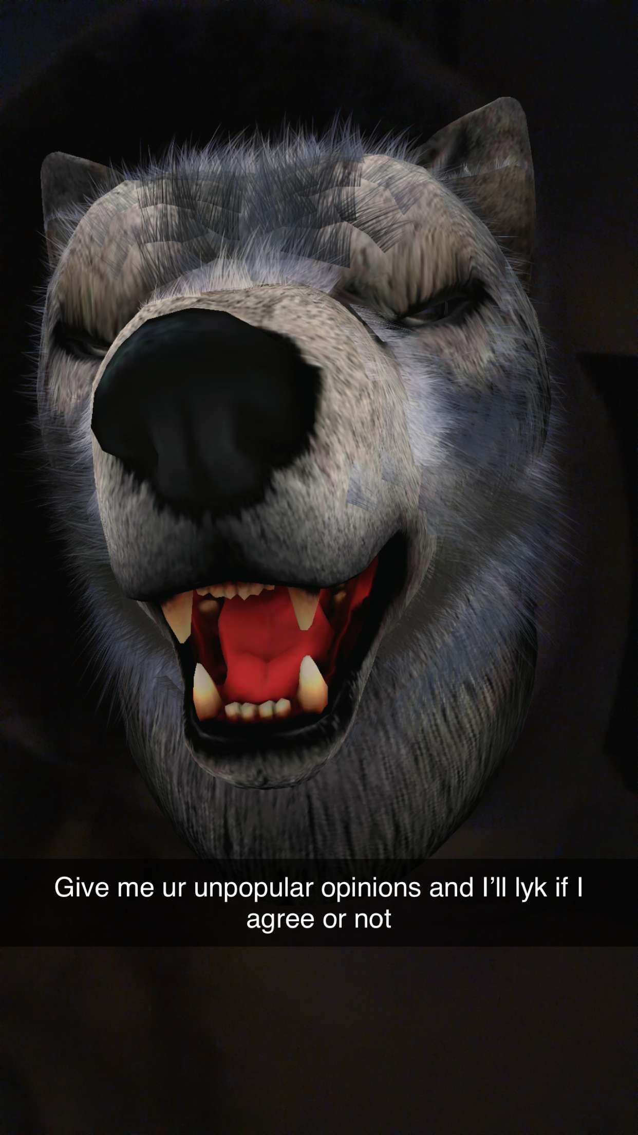 kalogeraseliana snapchat image archive image