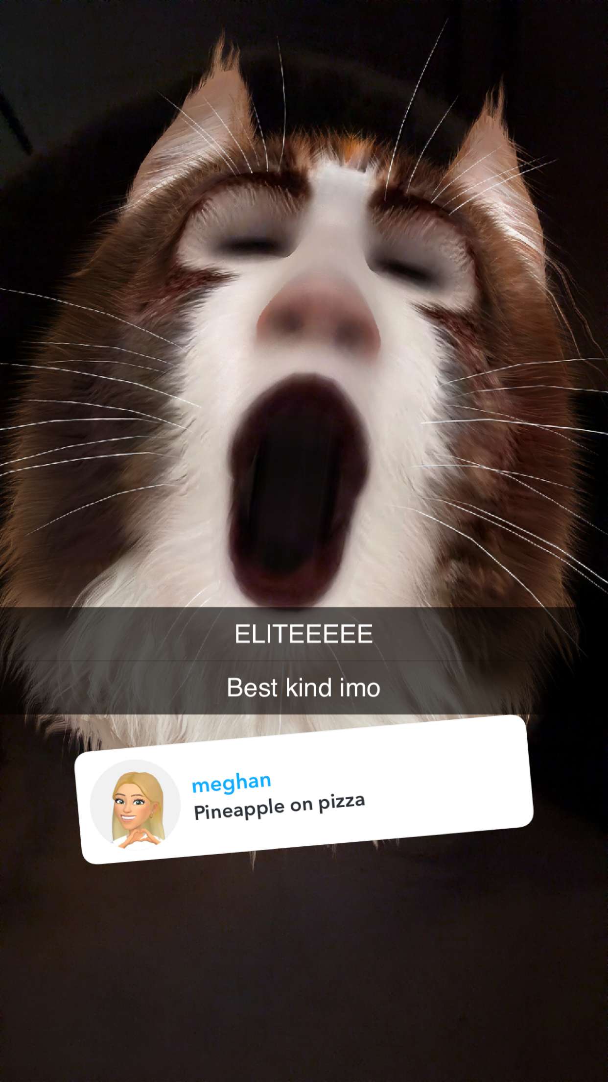 kalogeraseliana snapchat image archive image