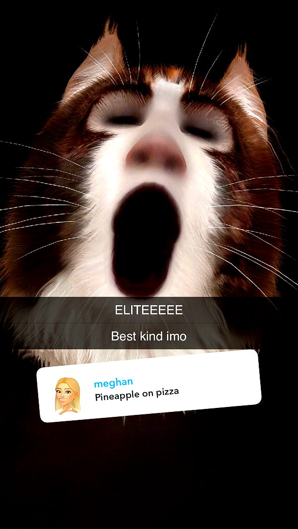 kalogeraseliana image ~ Altpins