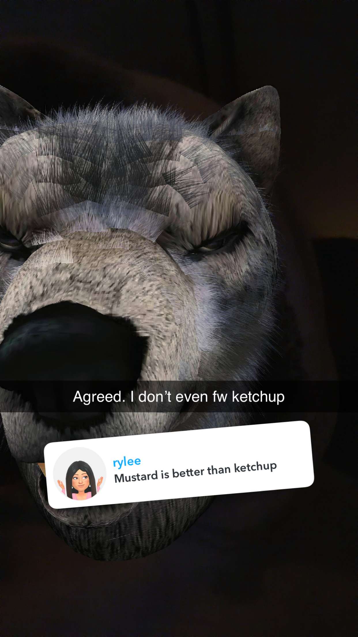 kalogeraseliana snapchat image archive image