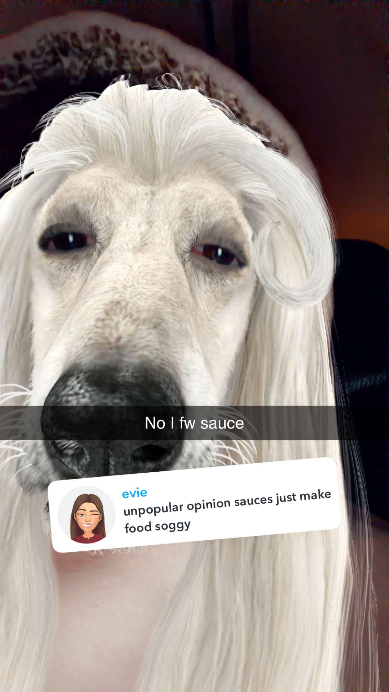 kalogeraseliana snapchat image archive image