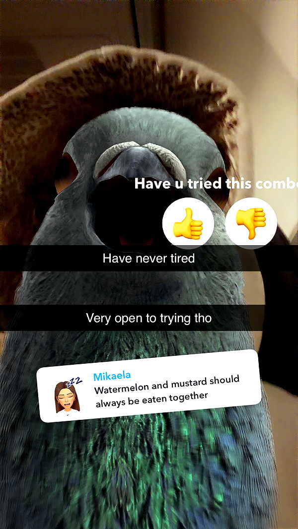 kalogeraseliana image ~ Altpins