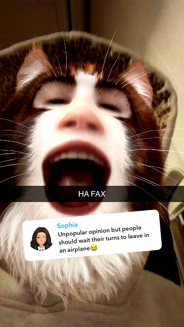 kalogeraseliana image ~ Altpins