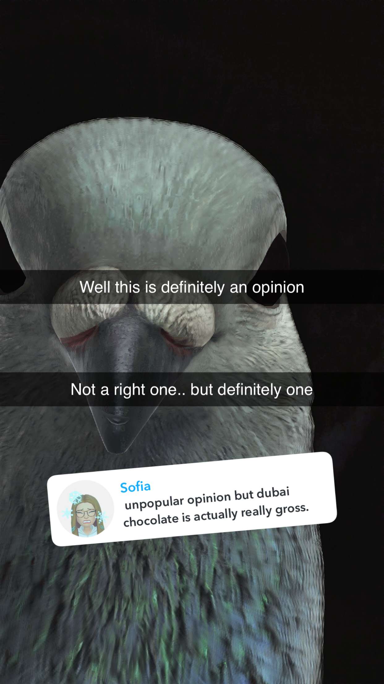 kalogeraseliana snapchat image archive image