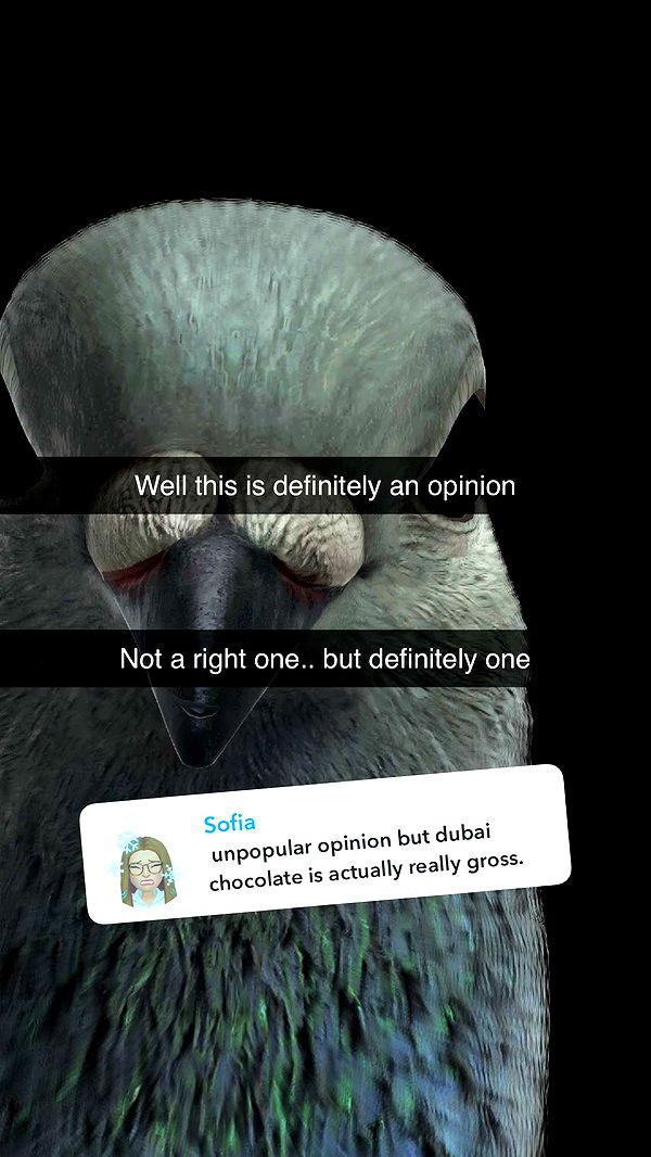 kalogeraseliana image ~ Altpins